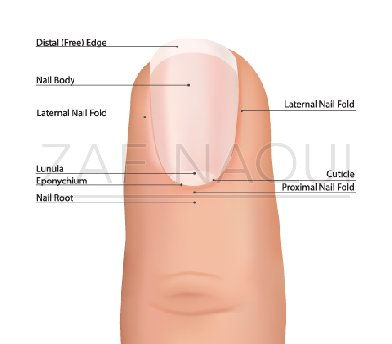 Tuft Fractures, Part I – Closing the Gap